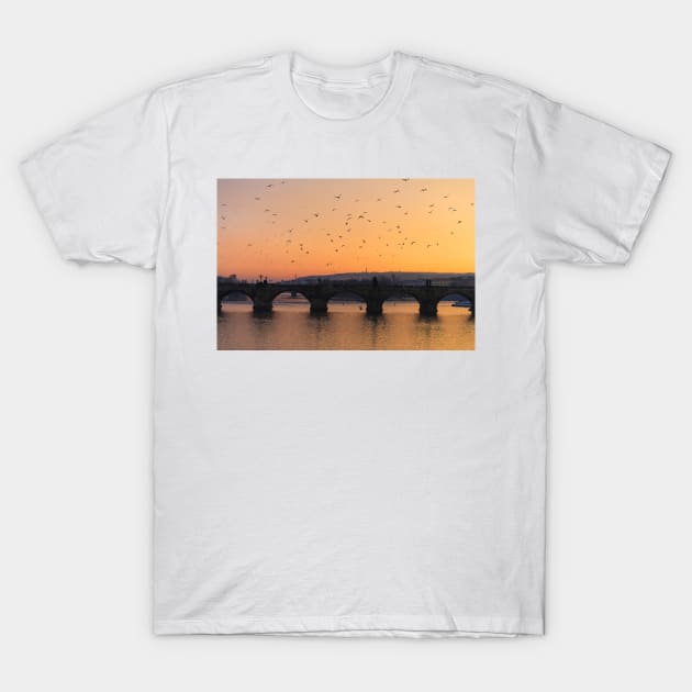 Charles Bridge T-Shirt by ansaharju